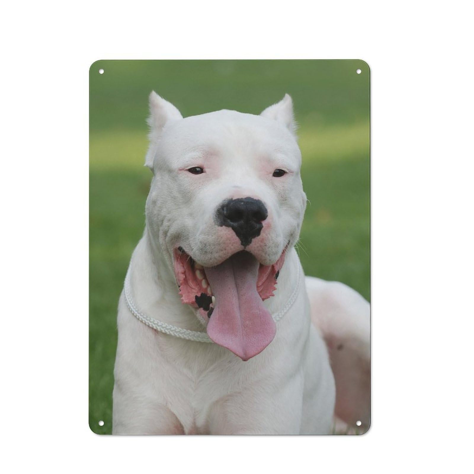 Junmoney Dogo Argentino Metal Sign 40X30cm With For Garage Wall, Vintage Decor, Tin Sign Wall Decor For Garages And Workshops