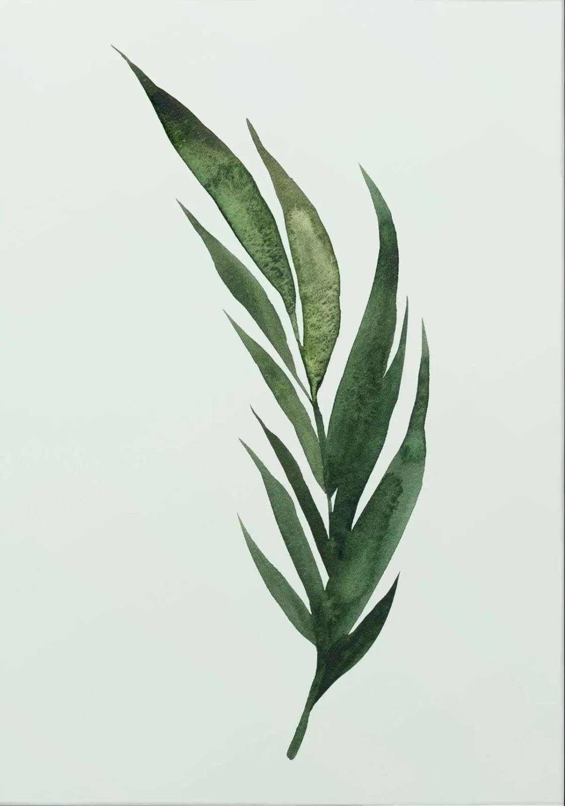 Baibexing Minimalist Tropical Leaf Digital Nature Canvas Painting Posters Prints Wall Art For Living Room Home Decor A6 30X40Cm Unframed