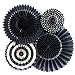 My Mind's Eye Basics Party Fans, Black Color, Set of 4
