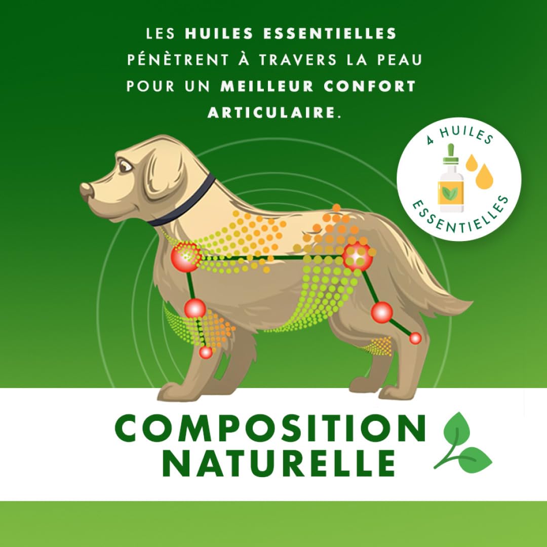 Ceva Yoos Confort Articulaire et Mobilité Collier (70cm) Taille m/l Chien >10kg