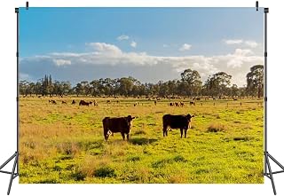 7x5FT Photography Backdrops Australian grazing Cows Farm Background Cloth Portrait Photo Booth Studio Prop Banner Photographers Home Office Decor Supplies