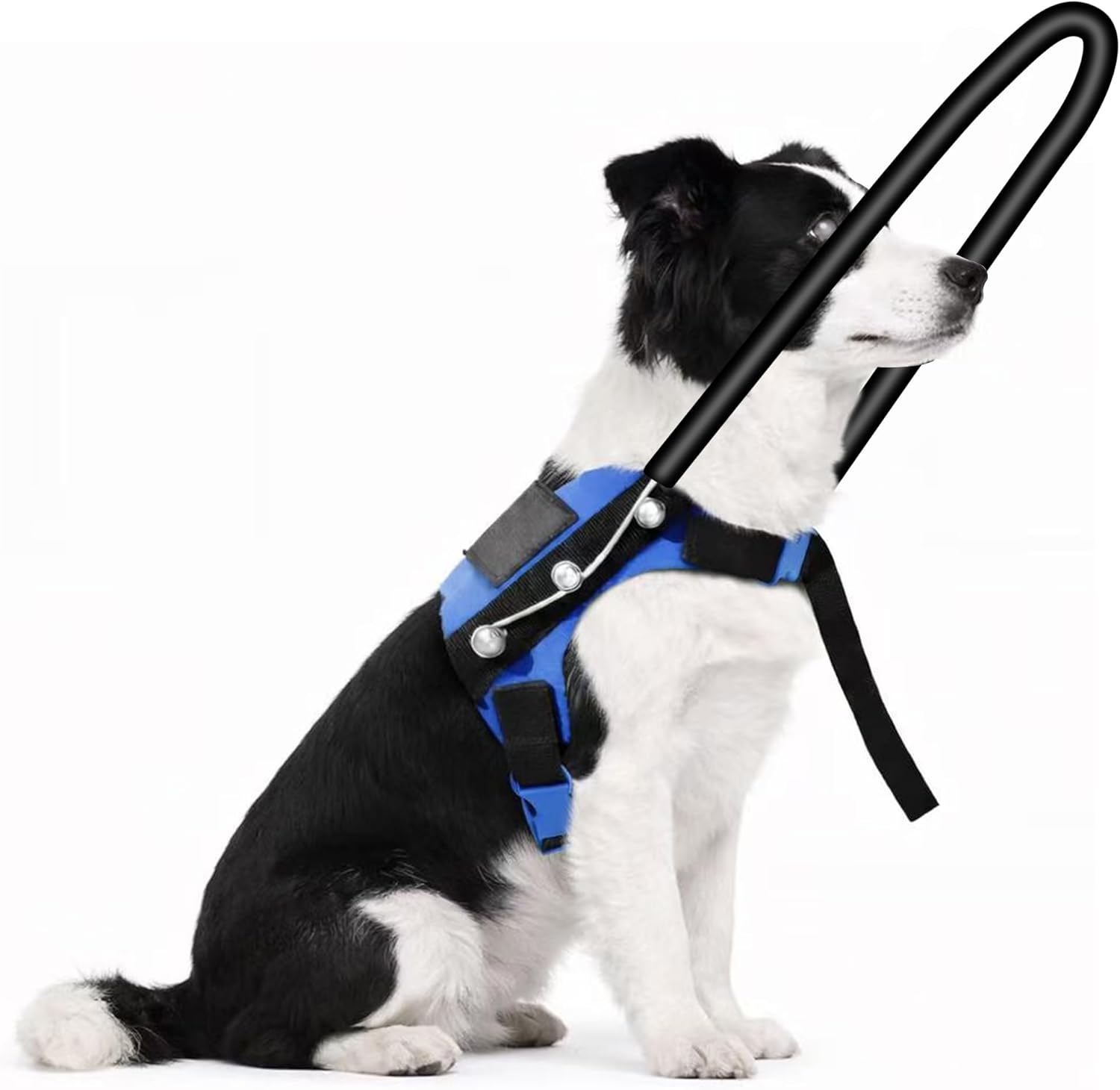 Blind Dog Harness with Protective Halo Ring, Adjustable Protective Collar and Navigation Aid for Visually Impaired Dogs, Safe Mobility Support Tool (8-9In)