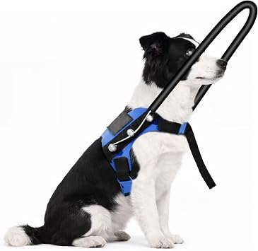 Blind Dog Harness with Protective Halo Ring, Adjustable Protective Collar and Navigation Aid for Visually Impaired Dogs, Safe Mobility Support Tool 8-9In