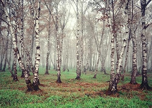 Toile de fond forêt en tissu pour photographie d'anniversaire d'enfant