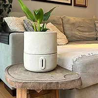 Vaso Inteligente Autoirrigável c/Reservatório – Até 90 Dias sem Regar, Tecnologia de Raízes Artificiais e Visor de Nível de Água, Leve e Resistente p/Plantas e Flores (Pequeno, Urbi)
