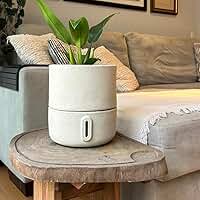 Vaso Inteligente Autoirrigável c/Reservatório – Até 90 Dias sem Regar, Tecnologia de Raízes Artificiais e Visor de Nível de Água, Leve e Resistente p/Plantas e Flores (Pequeno, Urbi)