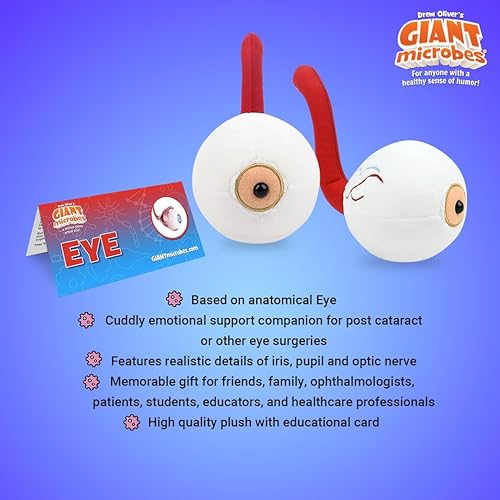Miniatura 3 de GIANT MICROBES Ojo de felpa, regalo del médico de los ojos, peluche globo ocular, regalo oftalmólogo, regalos de técnico oftálmico, regalos de