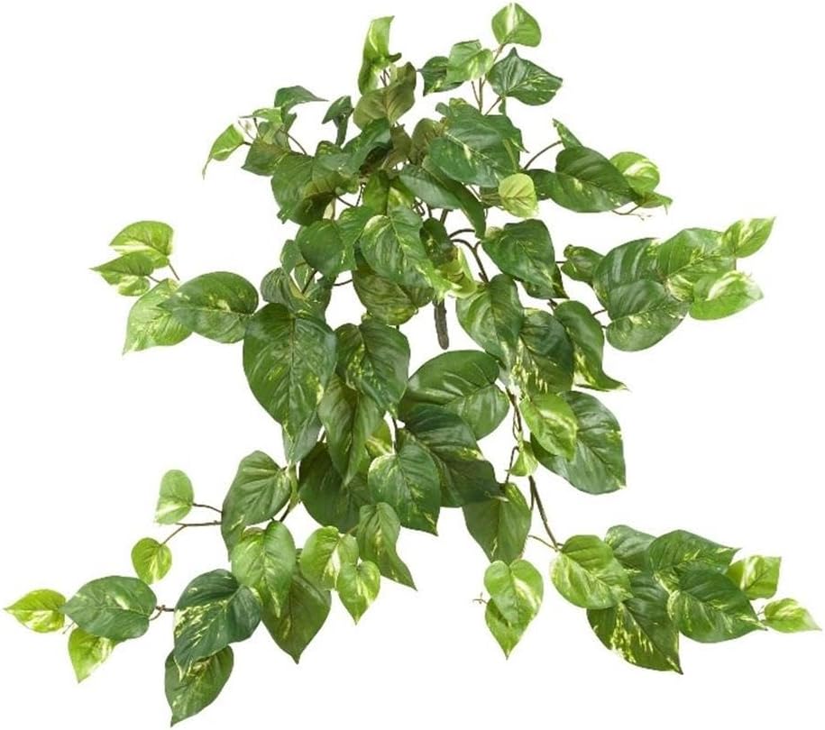 Nearly Natural Plantas colgantes Pothos de 30 pulgadas, juego de tres (3) arbustos falsos para decoración de interiores del hogar, enredaderas