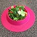 STAYbowl Tip-Proof Bowl for Guinea Pigs and Other Small Pets - Fuchsia (Pink) - Large 3/4 Cup Size New