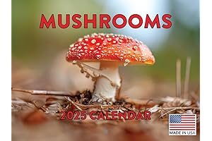 2024 Wall Calendar Mushrooms Monthly Wall Calendar 12 Months