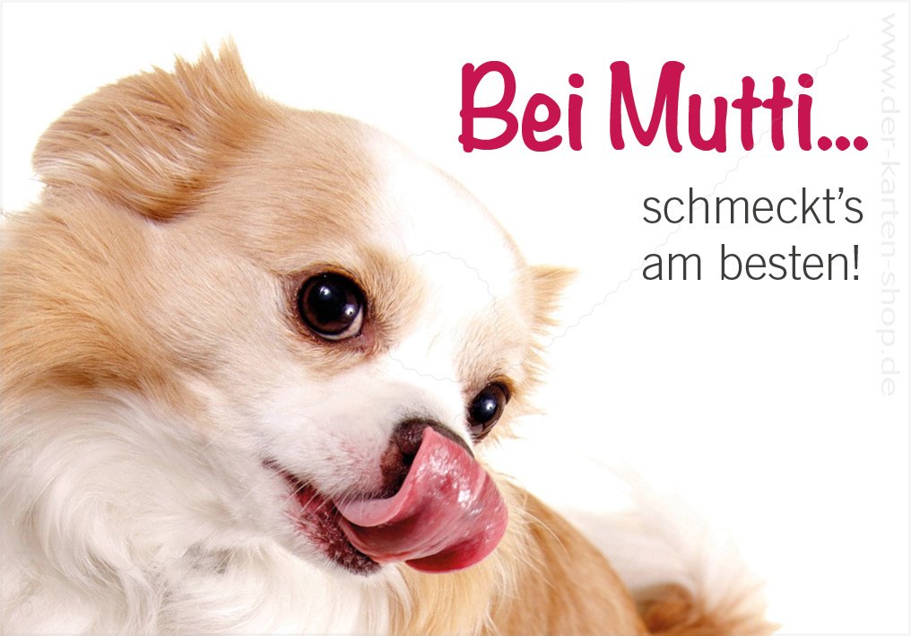 Der-Karten-Shop.deFridge Magnet Magnetic Magnet Short-Haired Chihuahua Bei Mutti schmeckt's am besten. 86 x 60 mm