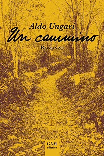  Un cammino