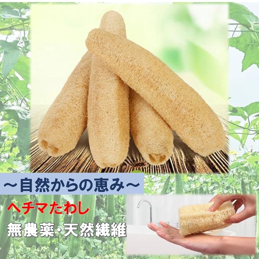 ヘチマたわし 美品大サイズお得用 販促用POP&シール付き