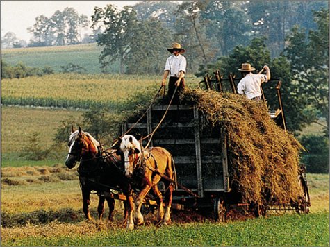 The Gift to be Simple: Life in the Amish Country