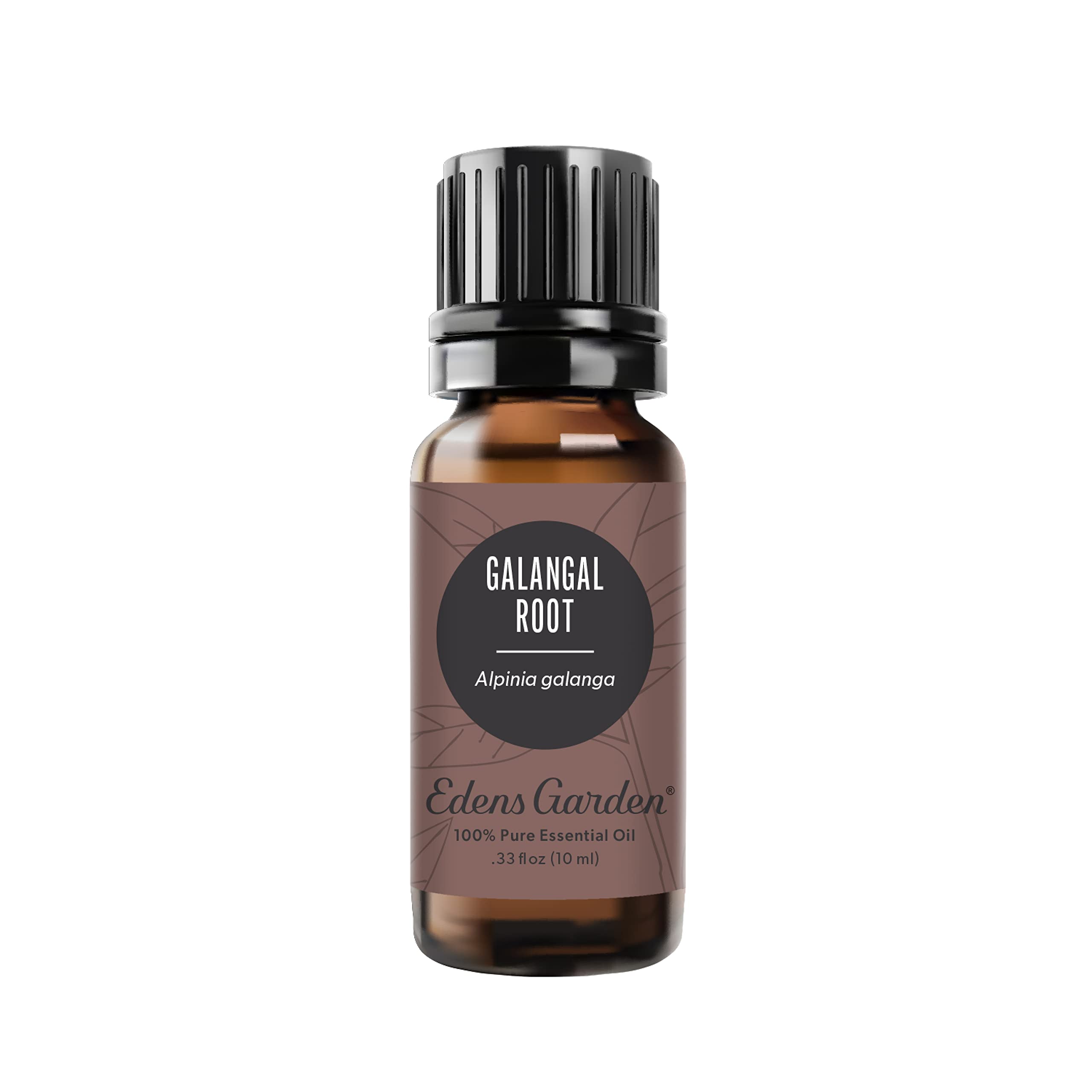 Amazon.com: Edens Garden Galangal Root Essential Oil, 100