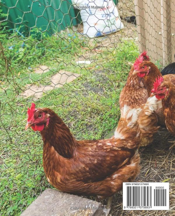 Successful Chicken Farming: The Ultimate Handbook: Achieving Profitable Poultry Production: A Comprehensive Guide for Farmers. - Image 2