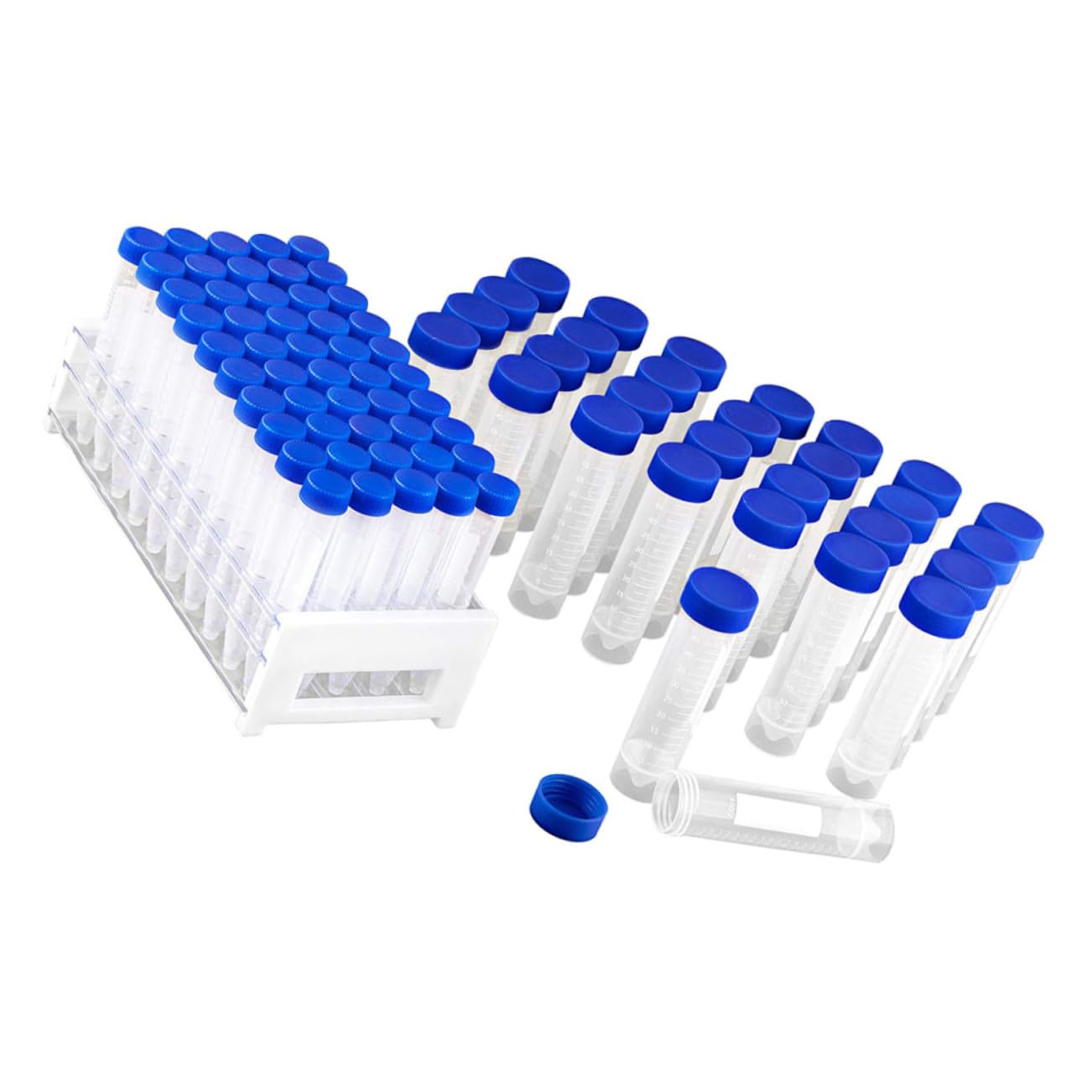 81pezzi Provette Plastica Con Coperchio e Porta Provette Per Esperimenti Scientifici e Conservazione Liquidi