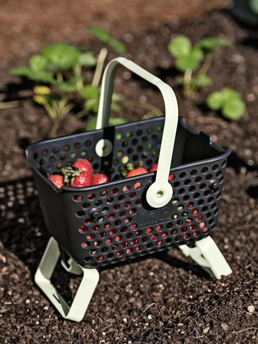 Gardener's Supply Company Multipurpose Mini Garden Basket | Mini Mod Hod For Collecting, Carrying, and Cleaning | Folding Legs and Handle | 9.5