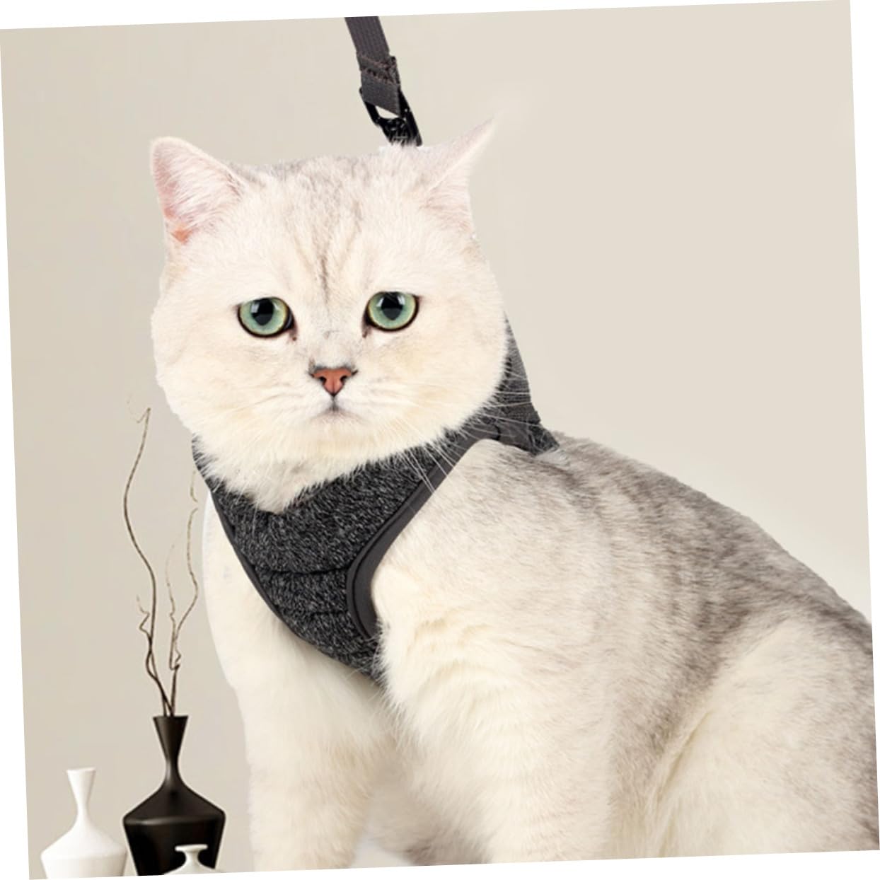 Supvox 3stücke Leichtes Katzenbrustgeschirr Für Kleine Katzen Atmungsaktiv Und Komfortabel Aus Langlebigem Material Für Und Ausflüge s