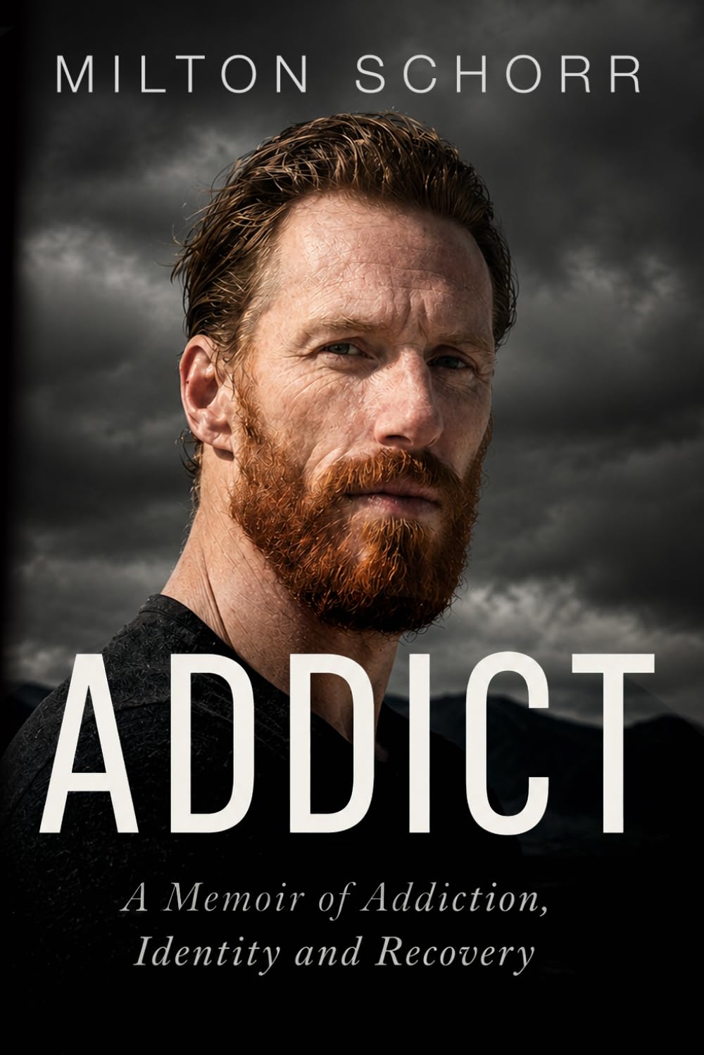 Addict: A Tale Of Drugs And Recovery