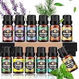 Ätherische Öle Set 12 x 10 ml, Duftöl Öle für Diffuser reiner Lavendel Eukalyptus Zitrone Zitronengras Süßorange Teebaum Pfefferminze Bergamotte Weihrauch Rosmarin Zimt und Ylang-Ylang