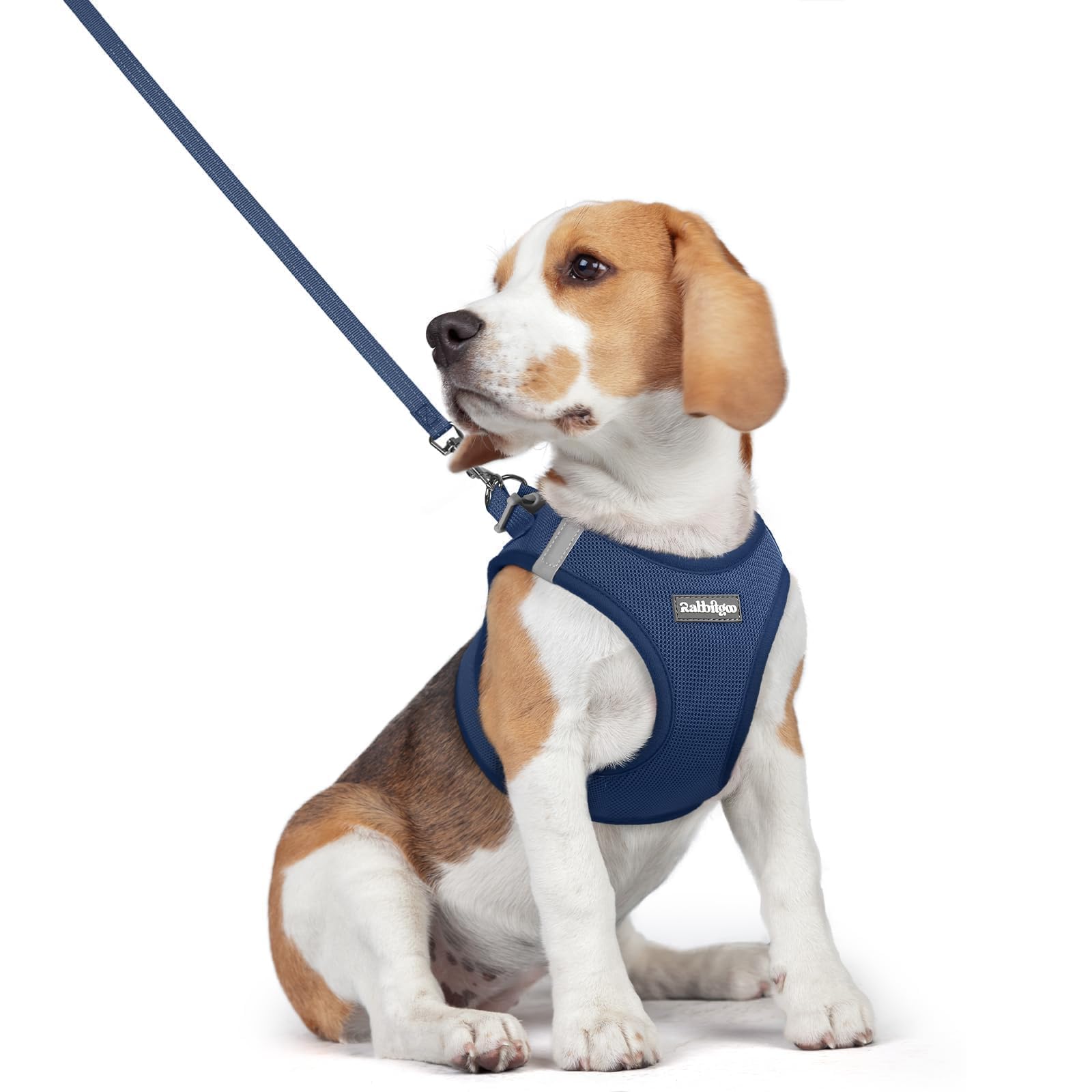 rabbitgoo Dog Harness Small Dog and Leash Set, Step-in Soft Mesh Puppy Harness with Reflective Strips, Lightweight Breathable Pet Vest for Walking Training, Navy Blue, L — image 1