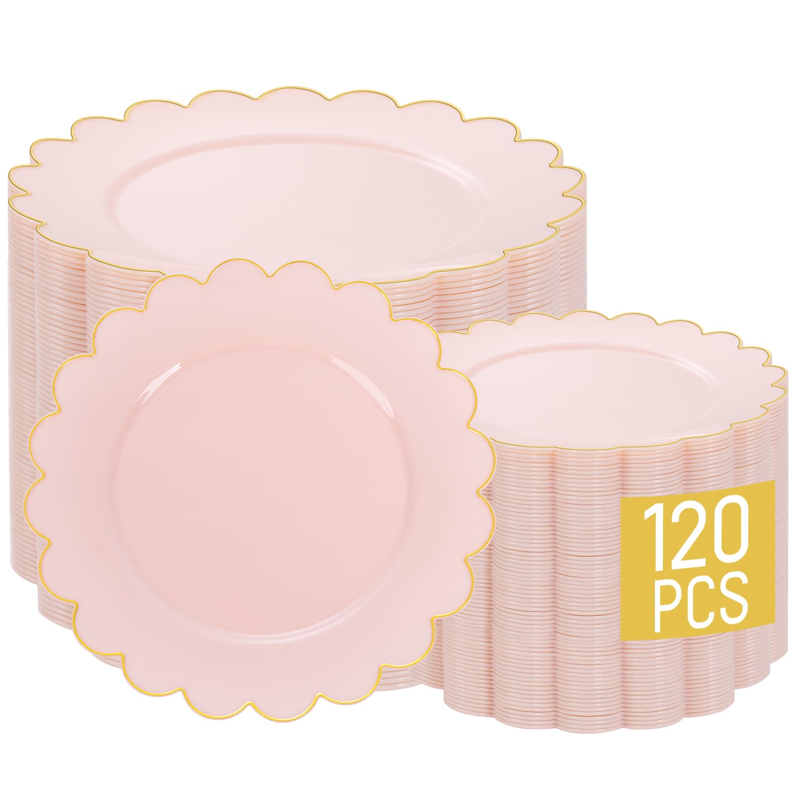 Gold Rim Disposable Plates - Party & Wedding Plates -19 Gold Rim Disposable Plates - Party & Wedding Plates -19
