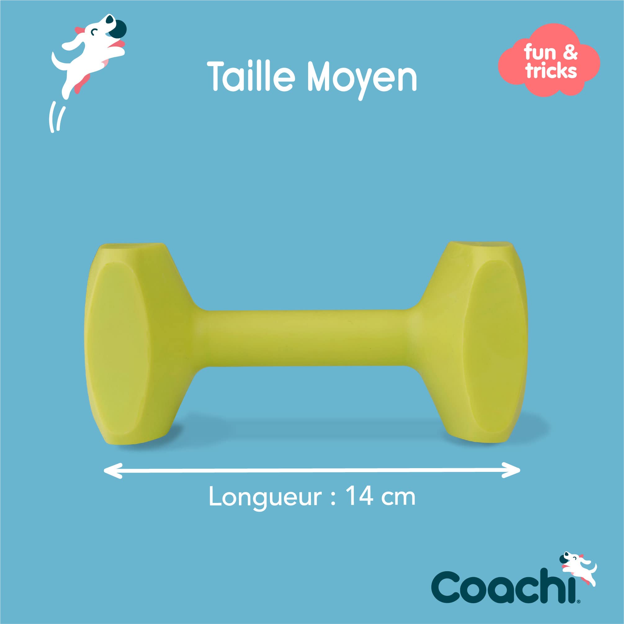 Company of Animals Coachi Training Dumbbell