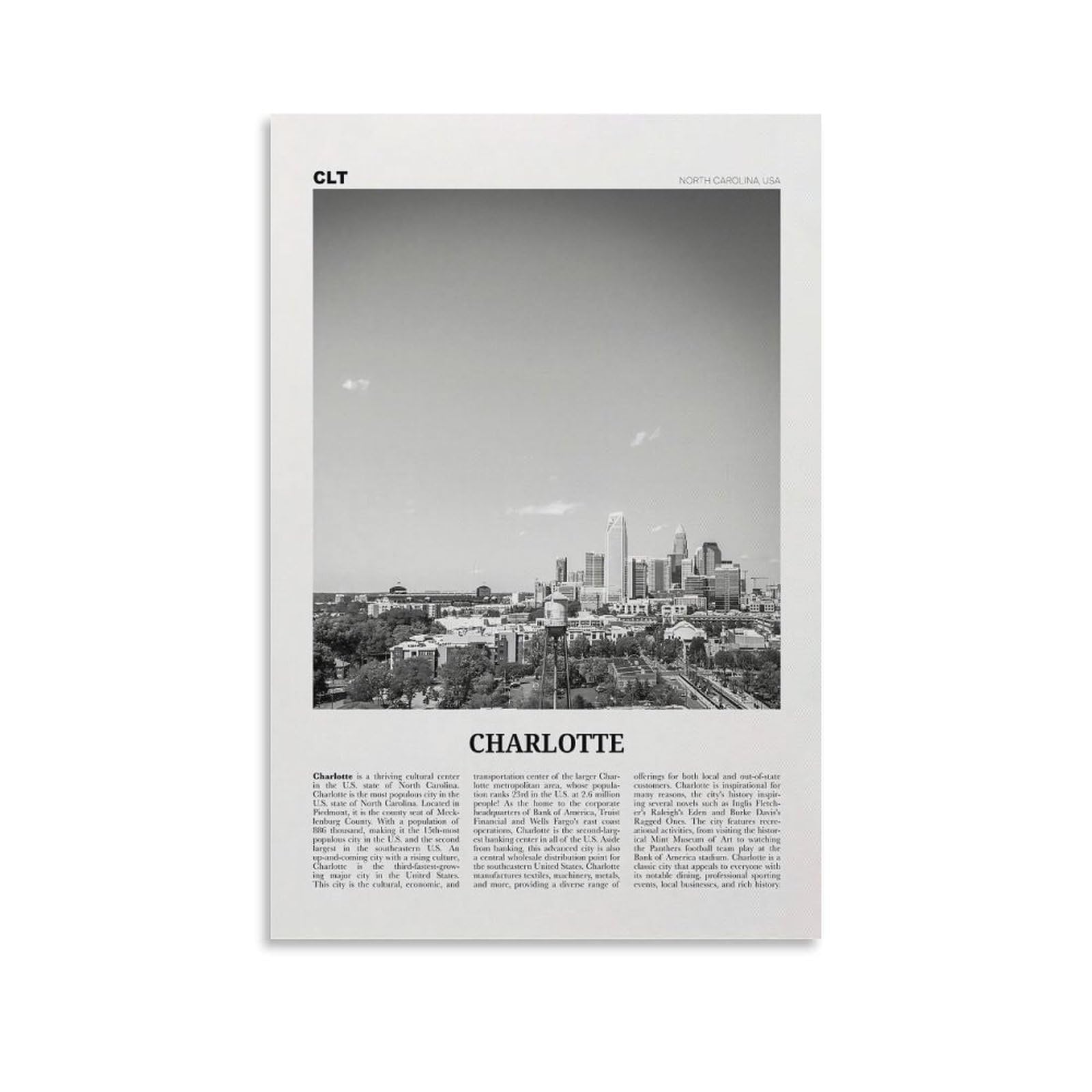 LZTEN Charlotte Skyline Canvas Wall Art, Black And White, USA