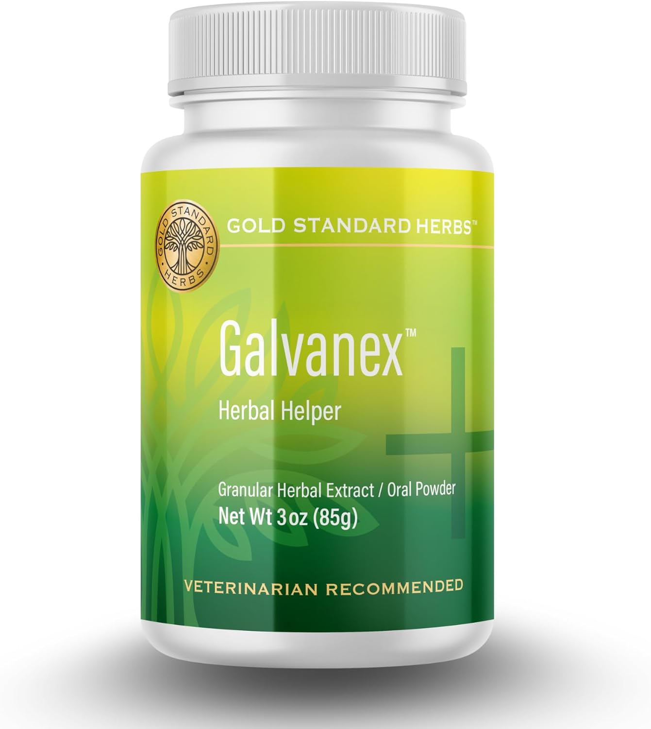 Galvanex Increase Qi to Support Physical & Emotional Strength, Circulation, and Immunity for Dogs by Gold Standard Herbs, All Natural Herbal Powder