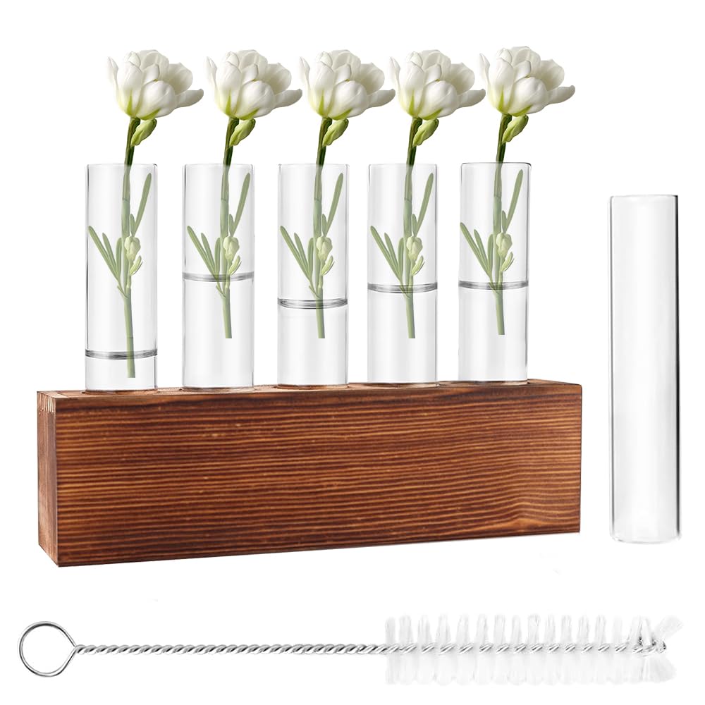 6 Jarrón Hidropónico, Jarrón de Cristal de Tubo de Ensayo Hidropónico con Soporte de Madera y Cepillar Estación Propagación Jarrón Tubo Vídrio para Plantas Hidropónicas Recortes Oficina Hogar