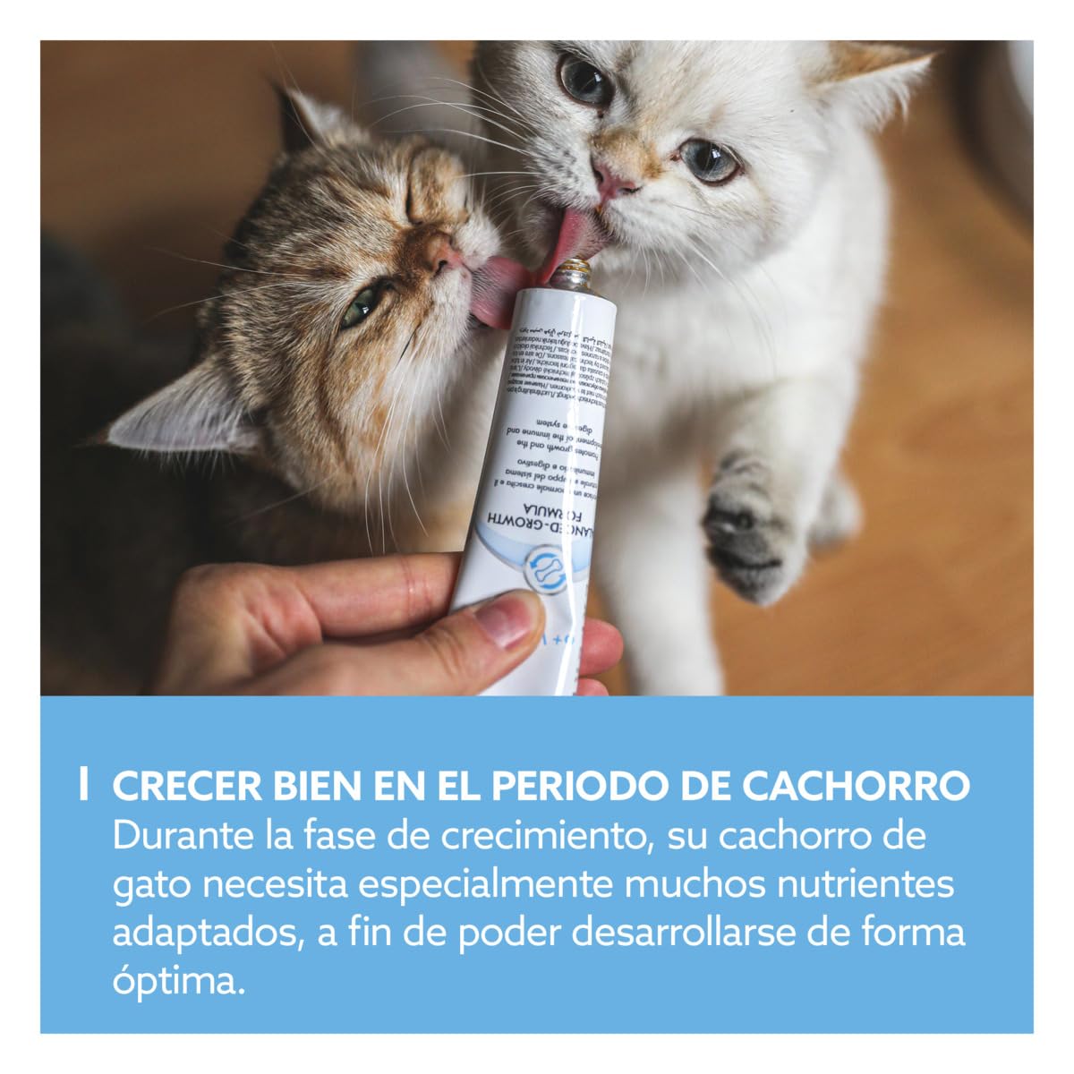 GimCat EXPERT LINE Kitten Pasta para el Crecimiento de Gatitos desde 6 Semanas, Sin Azúcar, 50 g