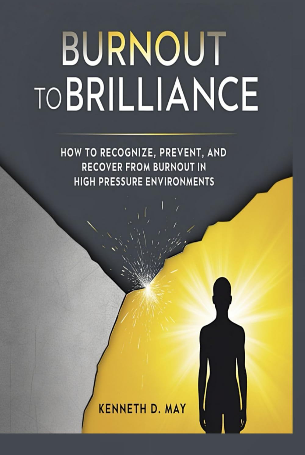 BURNOUT TO BRILLIANCE: How to Recognize, Prevent, And Recover From Burnout in High Pressure Environments