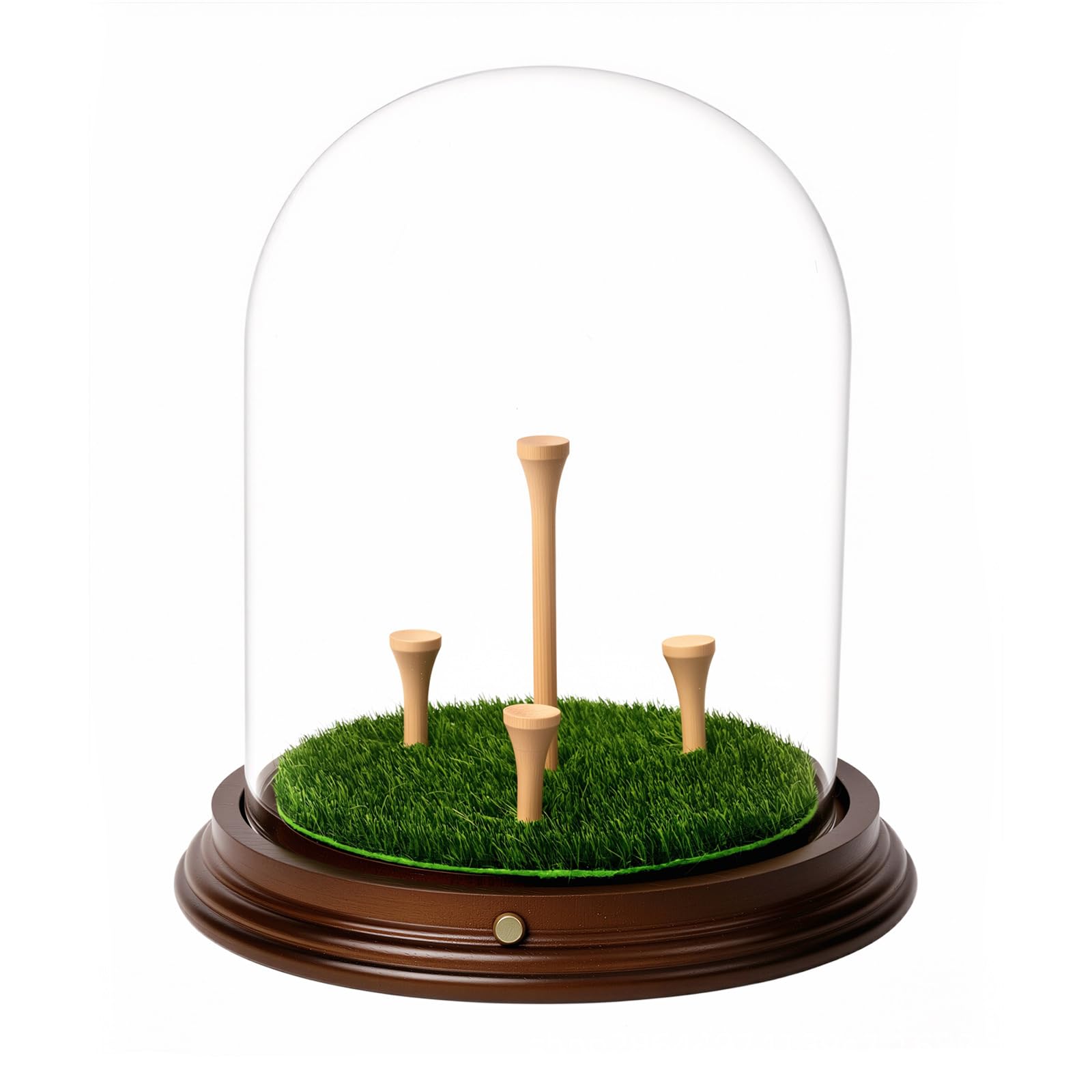 Large Size Golf Ball Presentation Case Featuring 360 Degree Clear View Design Luxury Golf Ball Storage Box