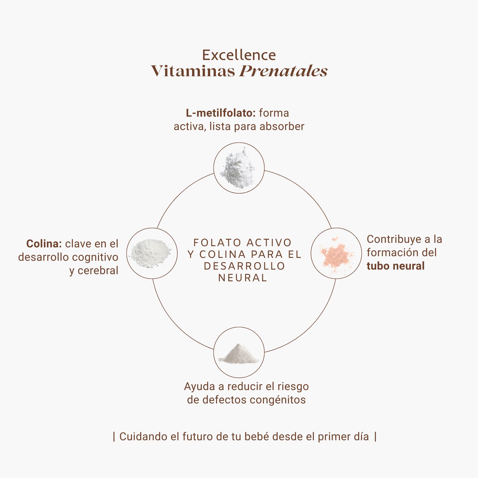 Excellence Vitaminas Prenatales – Suplemento Mujer para Embarazo, Lactancia y Preconcepción – 19 Nutrientes Esenciales con Folato Activo y Colina – 60 Cápsulas