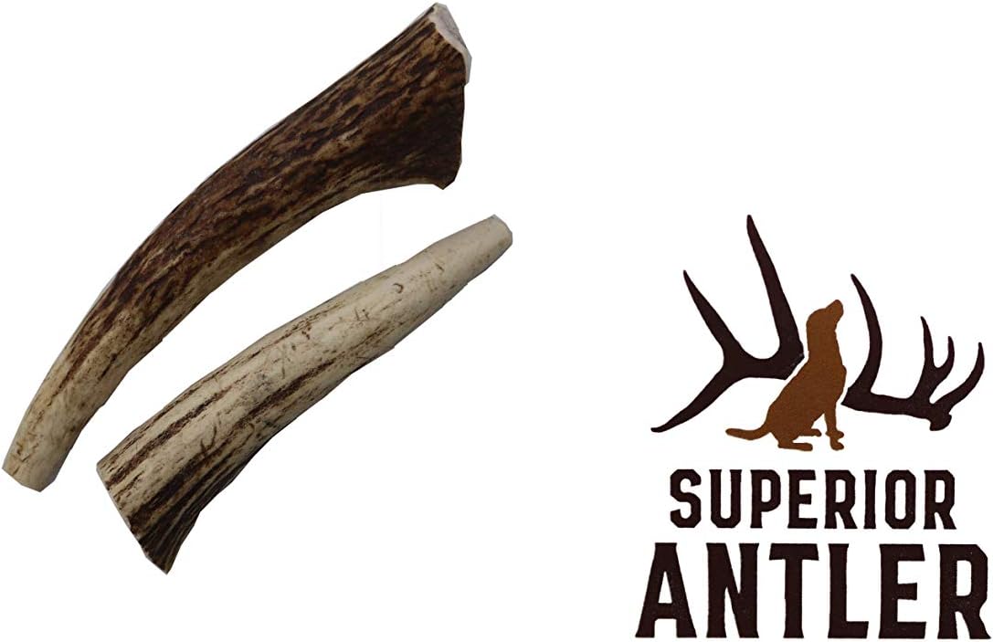 Small, Whole, Twin Pack - Grade A Premium Elk Antler Dog Chews for 20 to 25 lb Dogs – Naturally shed. NO Odor, NO Mess. GUARENTEED…