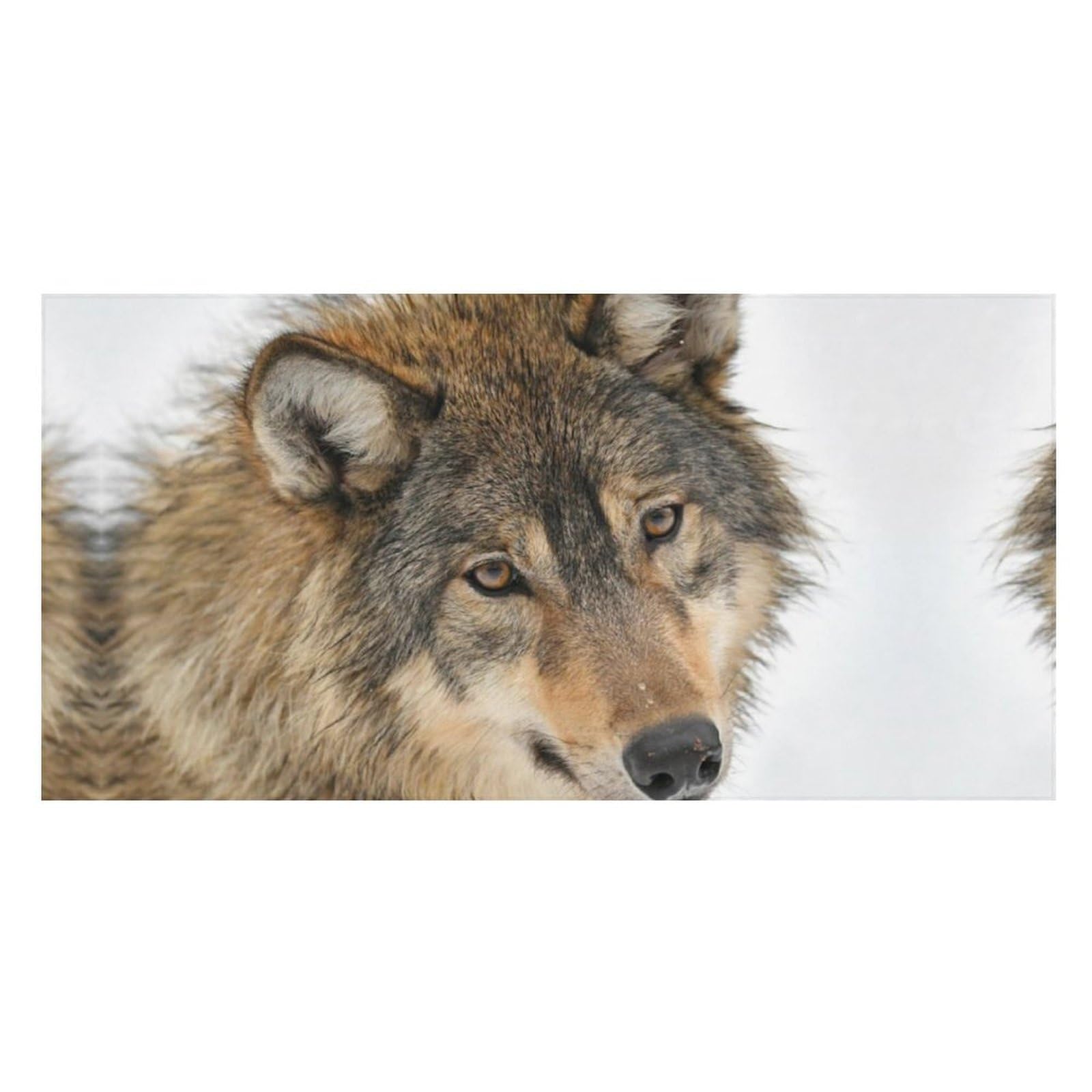 LWORZIIB Beach Towel, Brown Wolf Head Bath Towel, Pool Towel Great for Gym Swimming 80 X 160cm