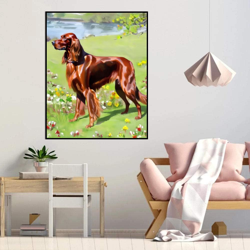 DIY Paint by Numbers Irish Setter Dog on Canvas Painting Kits for Adult, Beginner Oil Painting Kits Gift 20x24inch(50x60cm) Frameless