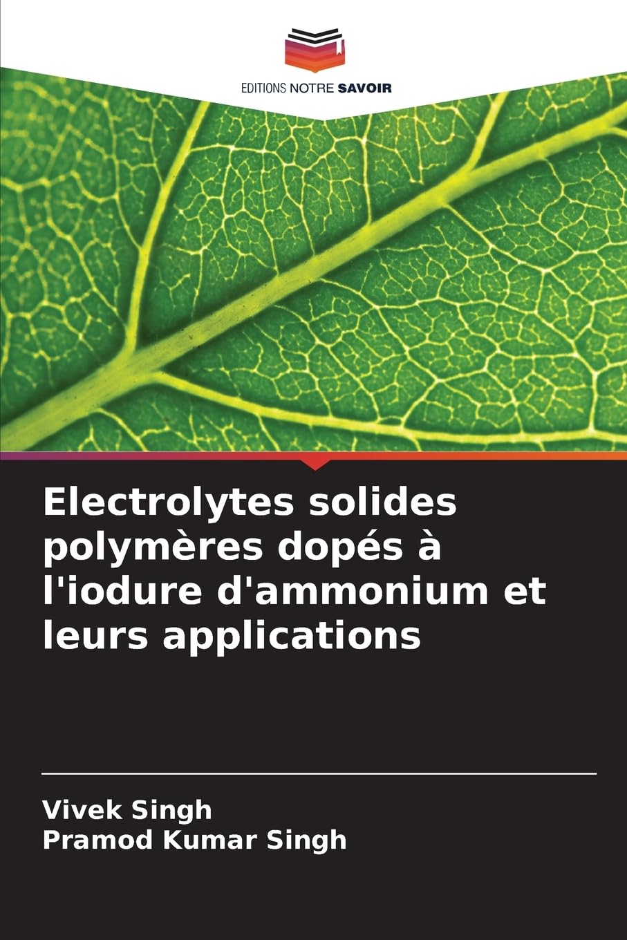 Electrolytes solides polymères dopés à l'iodure d'