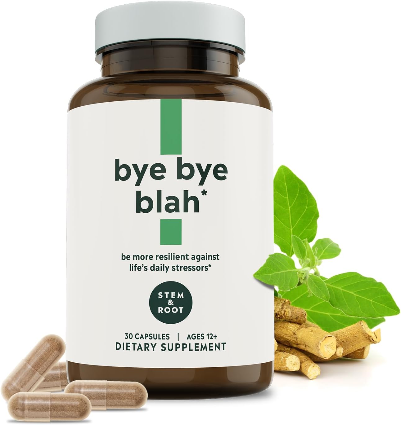 Stem & Root™ Bye Bye Blah | Probiotic + Digestive Enzymes + Ashwagandha | 1 Billion CFUs | Holistically Improve Mood, Energy, Immunity, & Digestion | 30 Capsules (1 Month Supply)