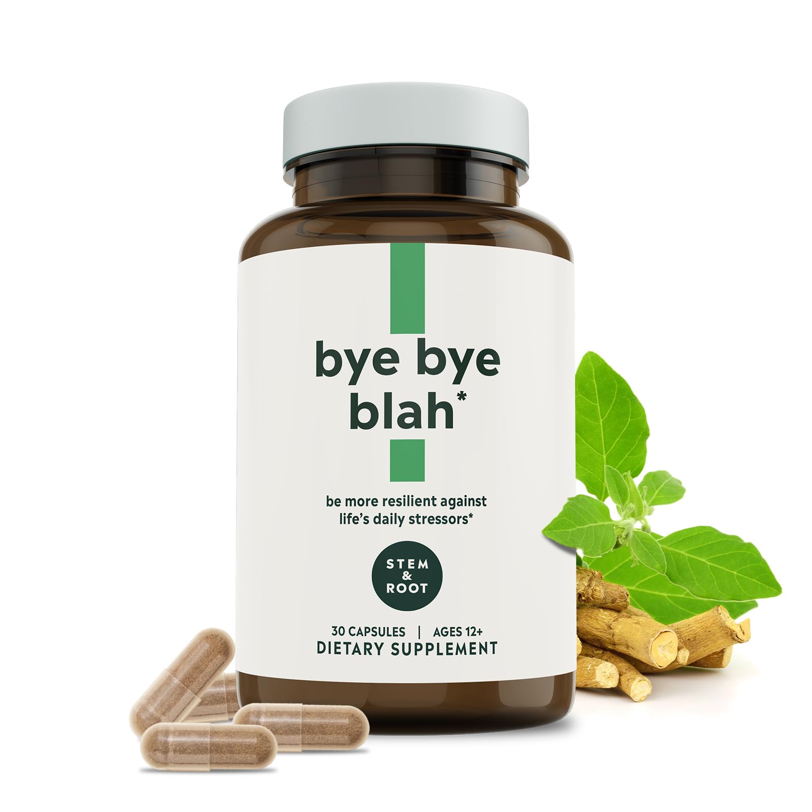 Stem & Root™ Bye Bye Blah | Probiotic + Digestive Enzymes + Ashwagandha | 1 Billion CFUs | Holistically Improve Mood, Energy, Immunity, & Digestion | 30 Capsules (1 Month Supply)