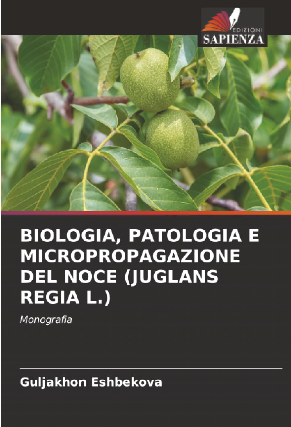 BIOLOGIA, PATOLOGIA E MICROPROPAGAZIONE DEL NOCE (JUGLANS REGIA L.): Monografia