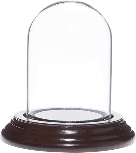 Miniatura 4 de Plymor Mini cúpula de cristal de 2 x 3 pulgadas (base de chapa de madera negra)