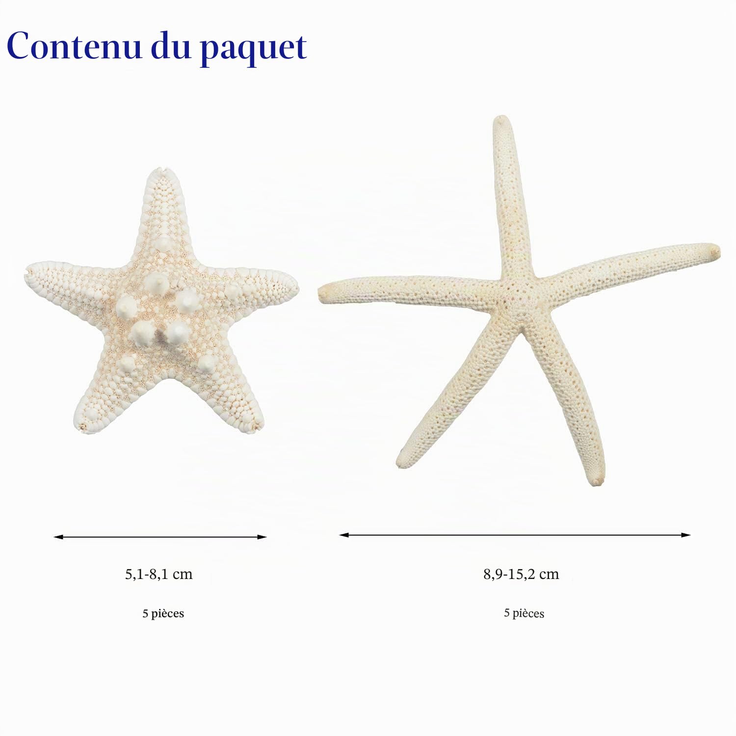 Jangostor Lot de 12 étoiles de mer - Mélange - Coquillages naturels - Parfait pour la décoration de mariage, plage, fêtes à thème, maison