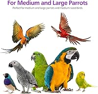 Vista 5 de RUBY.Q Paquete de 3 juguetes grandes de loro, juguete de loro de pájaro de 20 pulgadas, juguetes de madera natural multicolor para masticar pájaros