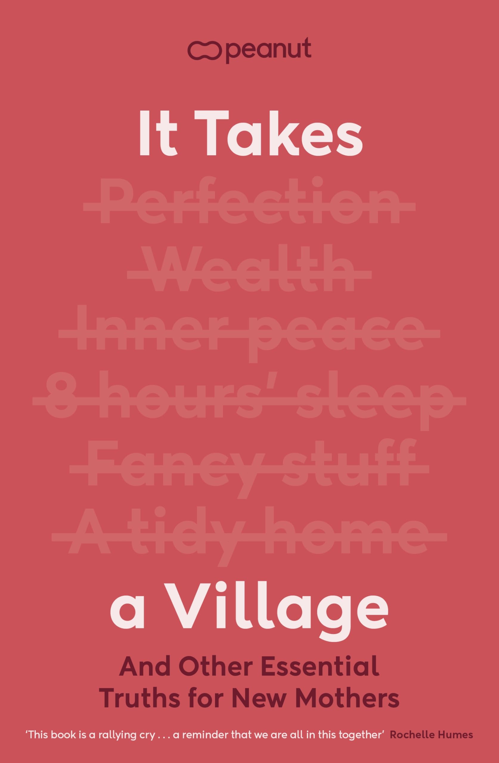 It Takes a Village PAPERBACK 9780241709986