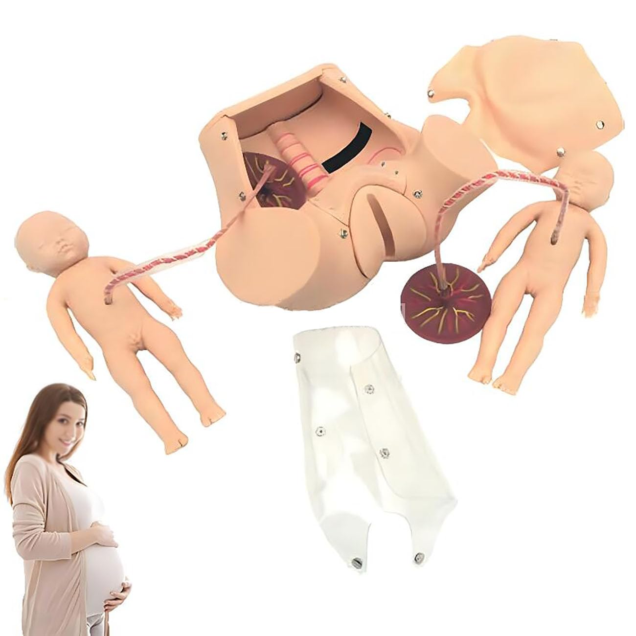 ICEMOB Childbirth Midwifery Training Model Baby and Pelvis-Pubic Symphysis Birth Demonstration Set Maternity Childbirth Simulator Teaching Skeleton Model