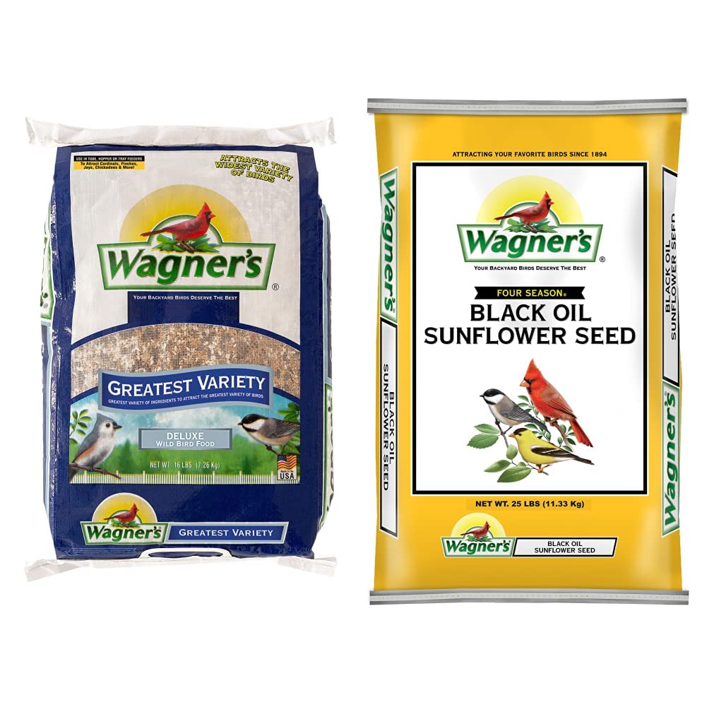 10 Best Black Oil Sunflower Bird Seed for Wild Birds Hummingbirds Plus