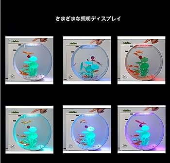 Amazon | COMEDYKINGクラゲ専用水族館、クラゲ水槽、卓上生態