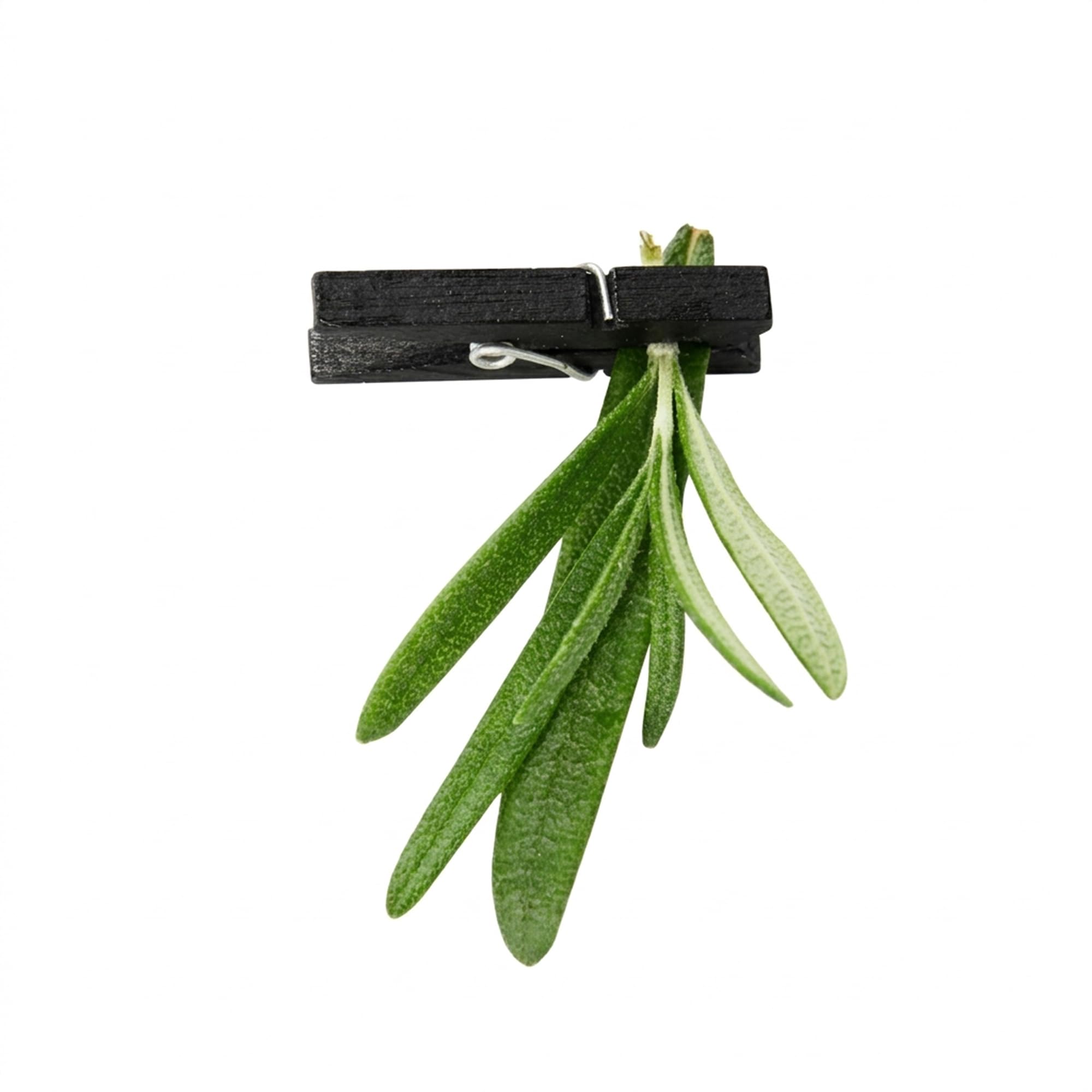 Restaurantware Mini-Wäscheklammern, Bambus, schwarz, 3,3 x 1 cm, 10000 Stück